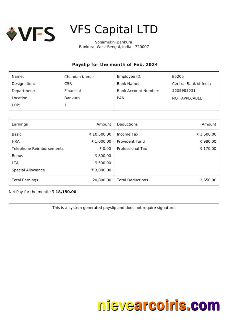 VFS Capital payslip